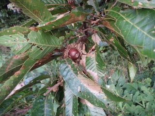 PA260002.JPG