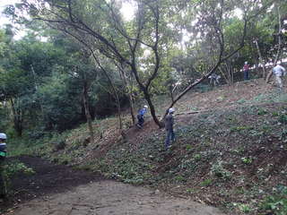 PA260009.JPG