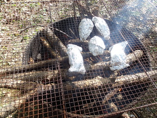 PA270011.JPG