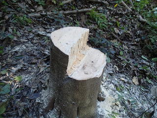 PA270018.JPG