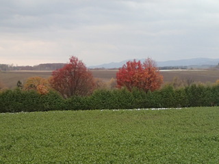 PA280202.JPG