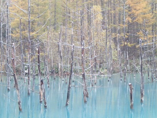 PA280259.JPG