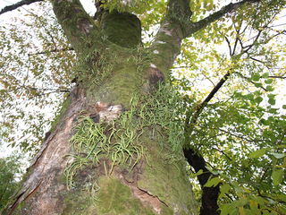 PA292653.JPG