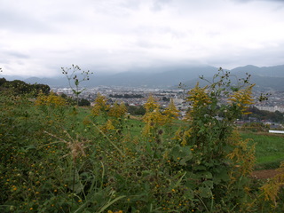 PA292687.JPG