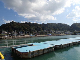 PB050002.JPG