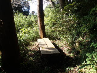 PB050046.JPG