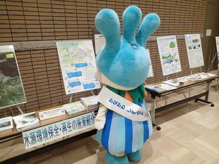 PB050074.JPG