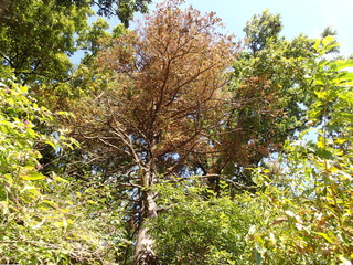 PB080027.JPG