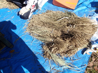PB080034.JPG