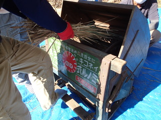 PB080037.JPG