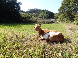 PB080054.JPG