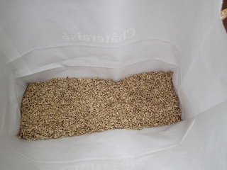 PB080077.JPG