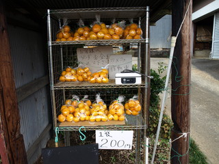 PB095539.JPG