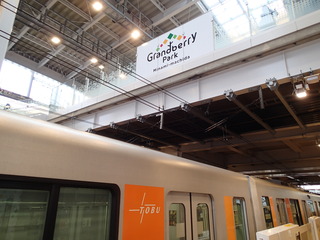 PB130002.JPG
