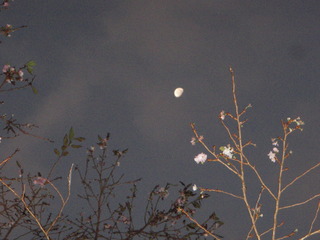 PB160006.JPG