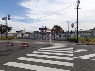 PB170002.JPG