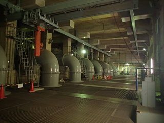 PB180017.JPG