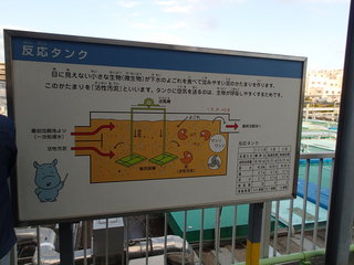 PB180029.JPG