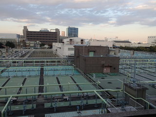 PB180054.JPG