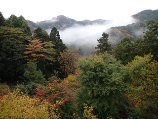 PB190006.JPG