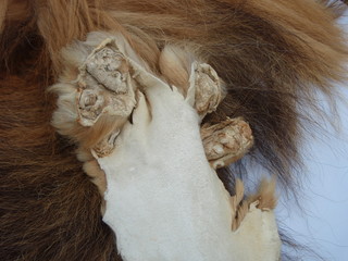 PB230037.JPG