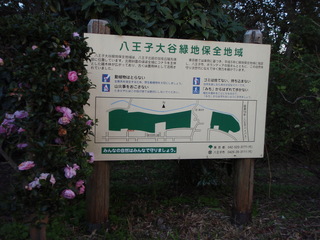PB250006.JPG