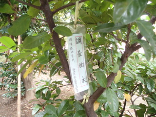 PB280008.JPG