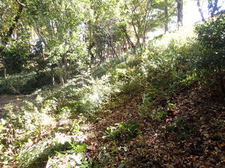 PB280028.JPG