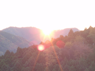 PB300027.JPG