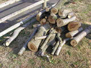 PC020021.JPG