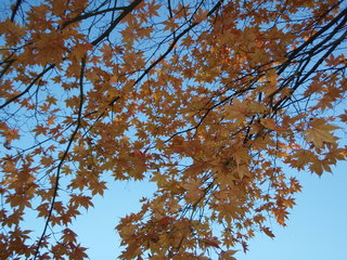 PC040003.JPG