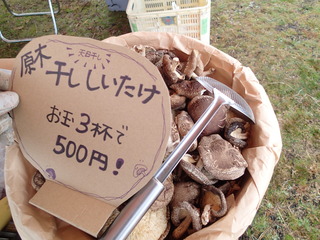 PC050014.JPG