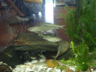 PC060035.JPG