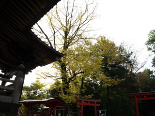 PC063040.JPG