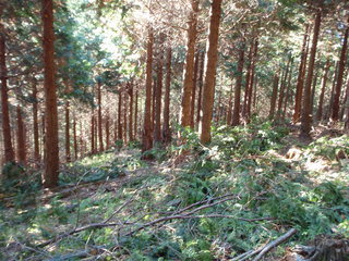 PC110037.JPG