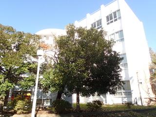 PC120013.JPG