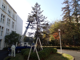 PC120016.JPG