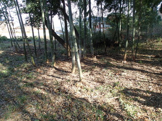 PC240063.JPG