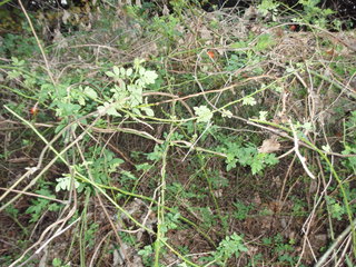 PC260023.JPG