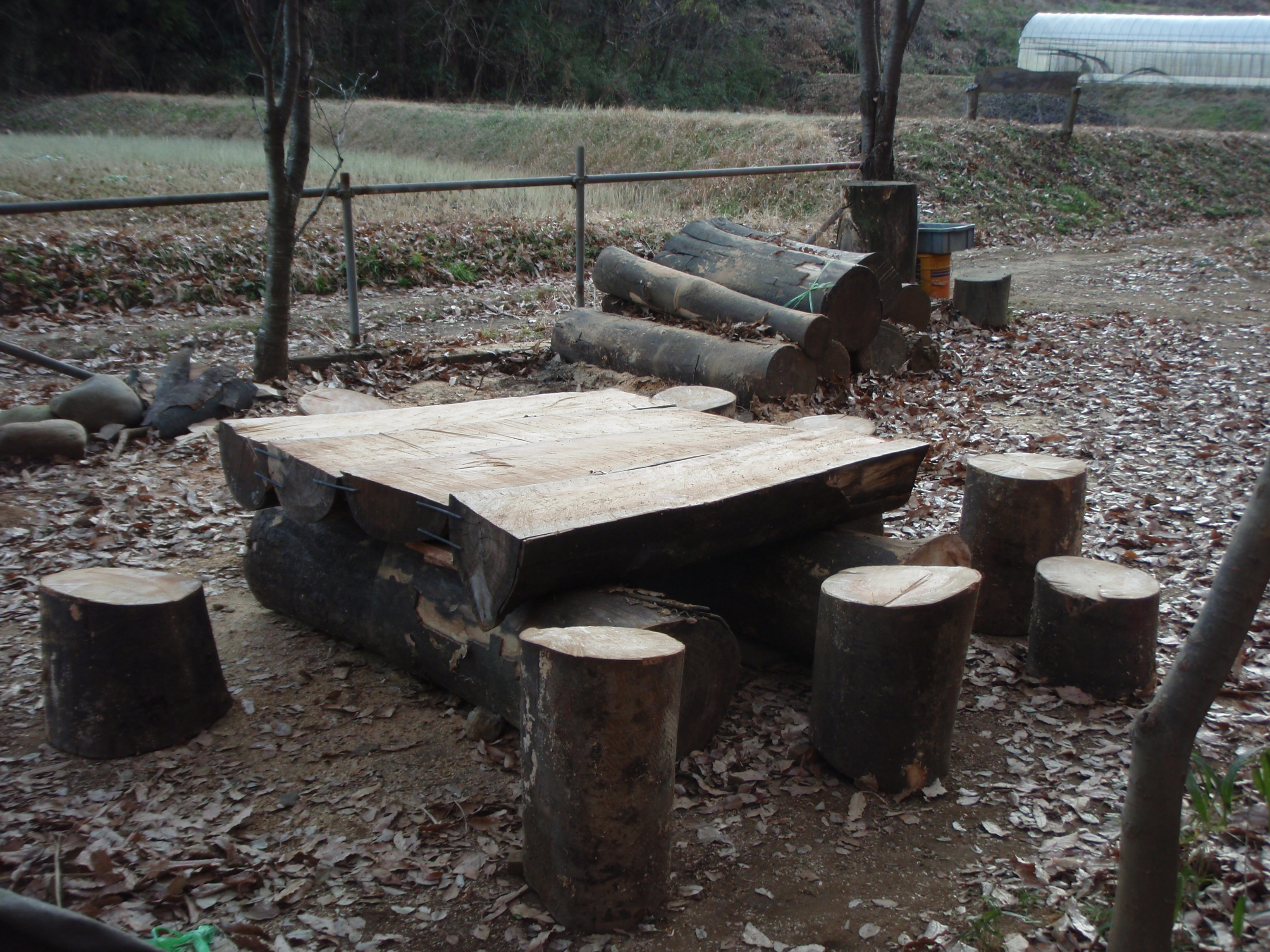 丸太のテーブルと椅子ができました: 森の旅人