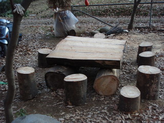 PC300005.JPG