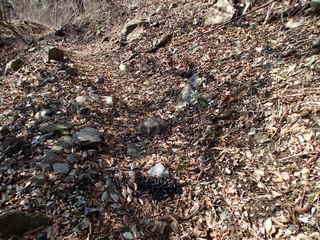 PC300050.JPG