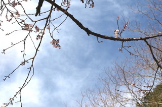 PC309665.JPG