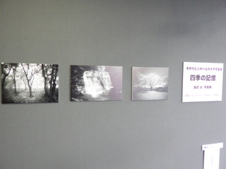 R0010037.JPG