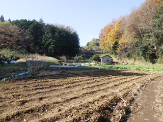 R0010091.JPG