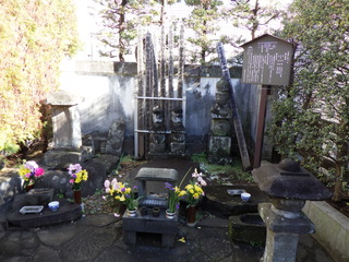 R0010427.JPG