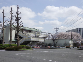 R0011379.JPG