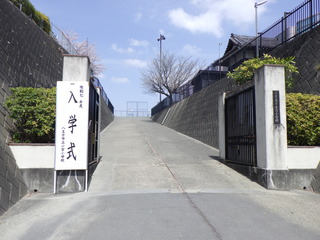 R0011385.JPG
