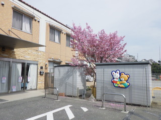 R0011398.JPG