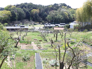 R0011404.JPG